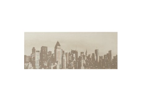 DECOR SKYLINE NY PARTICULIERE 20x50 PAREFEUILLE
