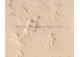 Losa rectangular en piedra reconstituida Fontvieille 49,5 x 39 x 3 Artemat 1568 dl